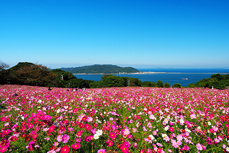 能古島