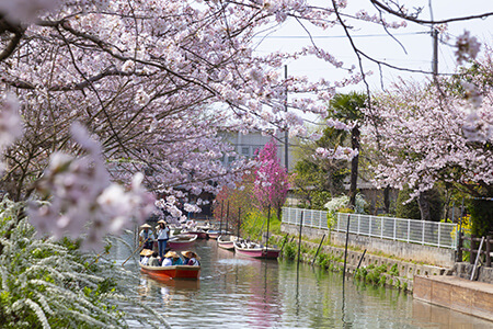 柳川エリア