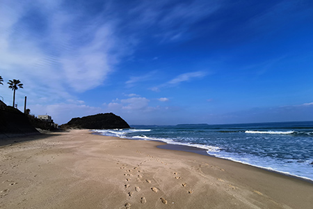 姉子の浜鳴き砂