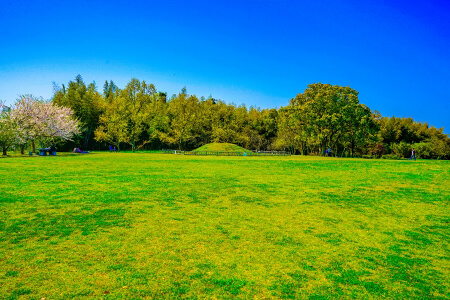 平原歴史公園