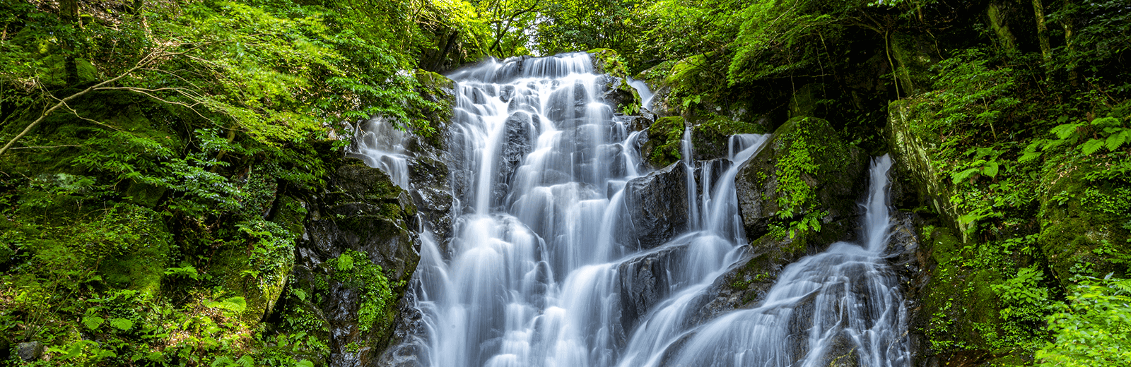 白糸の滝