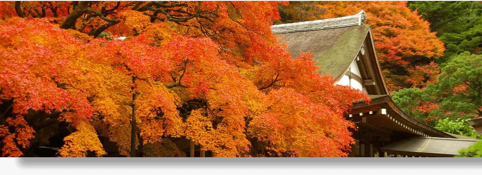 雷山千如寺大悲王院