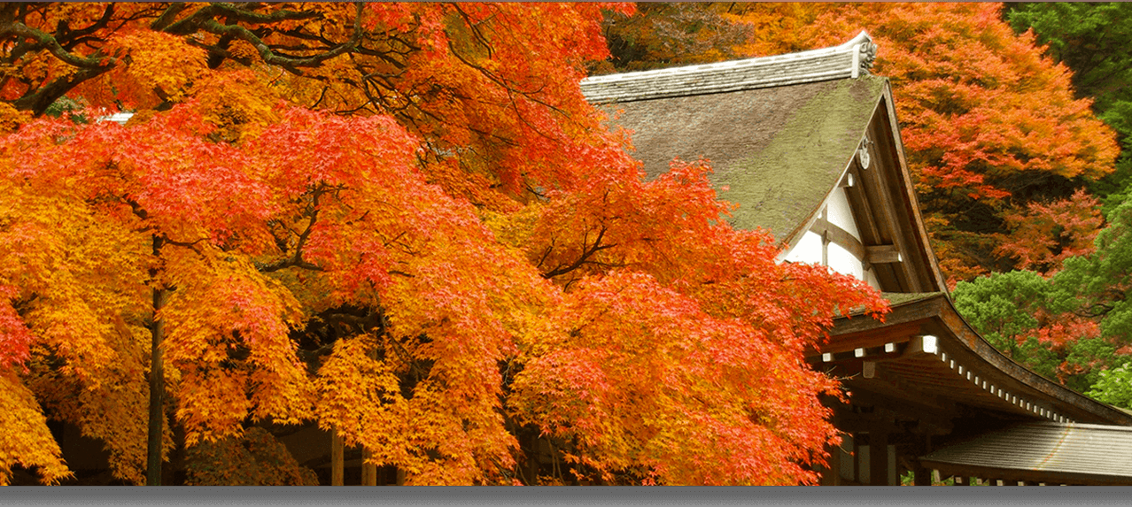 雷山千如寺大悲王院