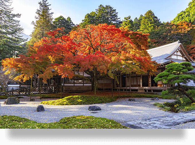 雷山千如寺大悲王院